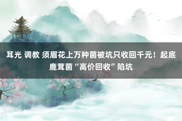 耳光 调教 须眉花上万种菌被坑只收回千元！起底鹿茸菌“高价回收”陷坑