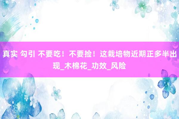 真实 勾引 不要吃！不要捡！这栽培物近期正多半出现_木棉花_功效_风险