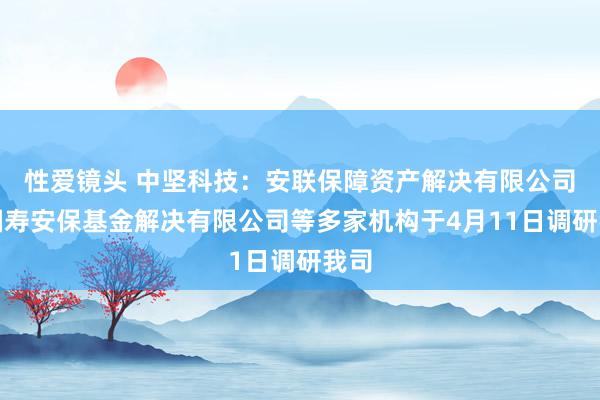 性爱镜头 中坚科技：安联保障资产解决有限公司、国寿安保基金解决有限公司等多家机构于4月11日调研我司