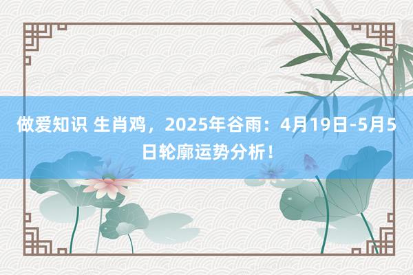 做爱知识 生肖鸡，2025年谷雨：4月19日-5月5日轮廓运势分析！