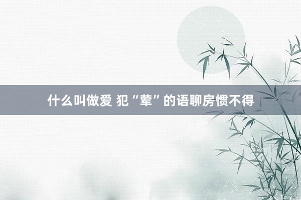 什么叫做爱 犯“荤”的语聊房惯不得