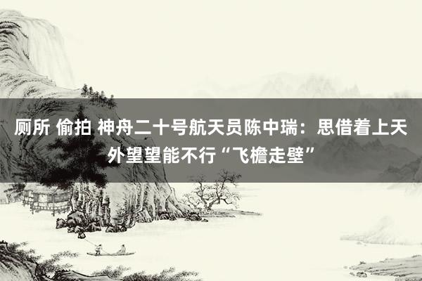 厕所 偷拍 神舟二十号航天员陈中瑞：思借着上天外望望能不行“飞檐走壁”
