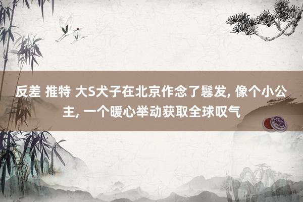 反差 推特 大S犬子在北京作念了鬈发， 像个小公主， 一个暖心举动获取全球叹气
