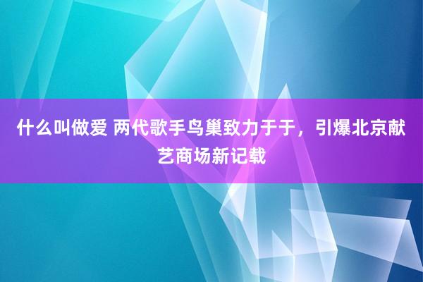 什么叫做爱 两代歌手鸟巢致力于于，引爆北京献艺商场新记载