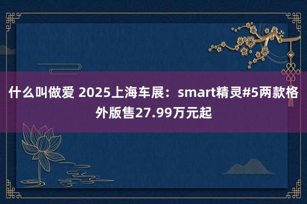 什么叫做爱 2025上海车展：smart精灵#5两款格外版售27.99万元起