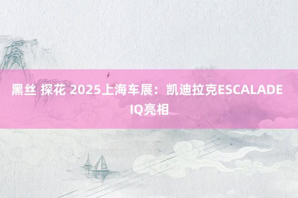 黑丝 探花 2025上海车展：凯迪拉克ESCALADE IQ亮相