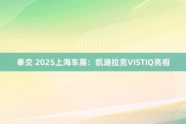 拳交 2025上海车展：凯迪拉克VISTIQ亮相