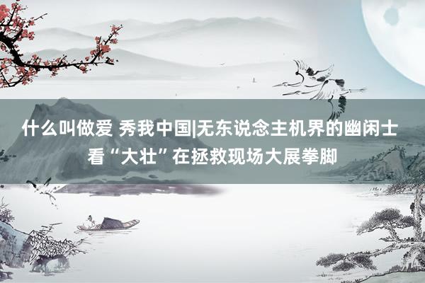 什么叫做爱 秀我中国|无东说念主机界的幽闲士 看“大壮”在拯救现场大展拳脚
