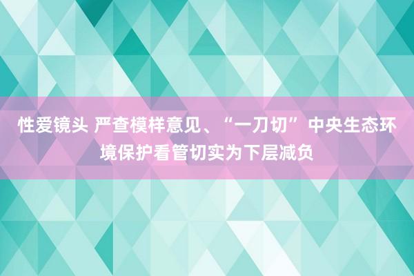 性爱镜头 严查模样意见、“一刀切” 中央生态环境保护看管切实为下层减负