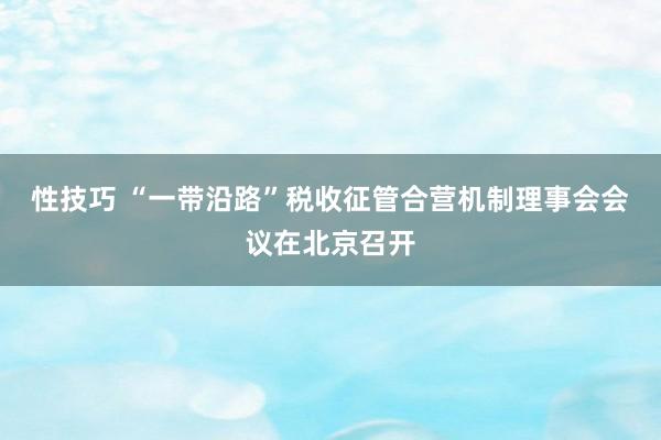 性技巧 “一带沿路”税收征管合营机制理事会会议在北京召开