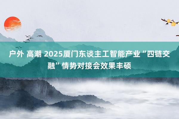 户外 高潮 2025厦门东谈主工智能产业“四链交融”情势对接会效果丰硕