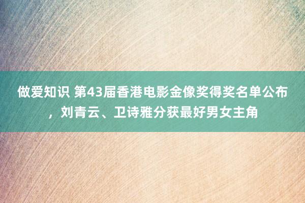 做爱知识 第43届香港电影金像奖得奖名单公布，刘青云、卫诗雅分获最好男女主角